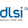 DLSI FRANCE-logo