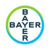 Engineering Project Manager