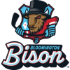 Bloomington Bison