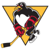 Wilkes/Barre- Scranton Penguins