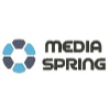 Mediaspring B.V.-logo