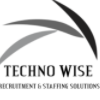 Techno Wise-logo