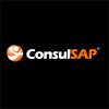 Consultores SAP HCM, 100% En remoto