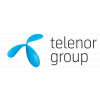 Senior Data Analyst