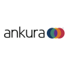 Ankura Consulting Group
