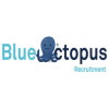 Blue Octopus Recruitment Ltd-logo