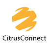 Sales Executive