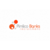 Pimlico Banks Recruitment-logo