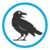 Raven Search-logo