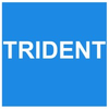 Trident Automobiles-logo