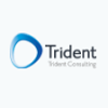 Trident Consulting-logo