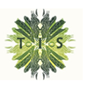 Turtle Island Staffing-logo