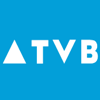 Консультант 1С