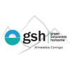 Gsh Grupo Soluciones Horizonte