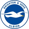 Brighton & Hove Albion FC-logo