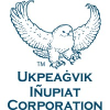 Environmental Scientist / Geologist / Chemist - UMIAQ Environmental, LLC