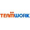 Team Work Recursos Humanos Ltda.