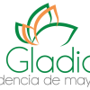 RESIDENCIA GLADIOLOS S.L.