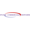 STUDIO COMMERCIALE VENTURINI-logo