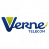 Verne Technology Group-logo