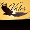Victor Community Support Services