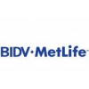 BIDV Metlife Life Insurance LLC
