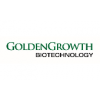 Marketing Executive