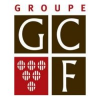 Group Data Manager (H / F)