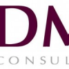 DML Consultores