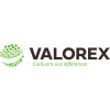 Valorex