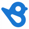 Birdeye-logo