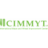 CIMMYT