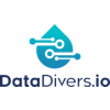 DataDivers