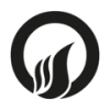 Onyx Capital Group-logo