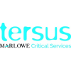 Tersus Consultancy-logo
