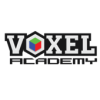 Voxel Academy