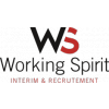 Working Spirit