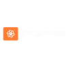Wordpress Developer