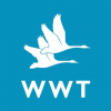 WWT Limited
