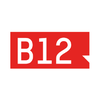 B12 Gruppe-logo