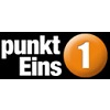 punktEins GmbH