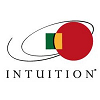 Intuition