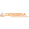 Cerebra Consulting Inc