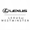 Automotive Sales Consultant