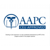 Senior Auditor-Project Lead