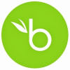 Director, Business Intelligence