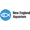 New England Aquarium