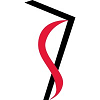 Vertical Solutions-logo