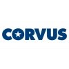 Corvus