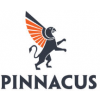 Pinnacus